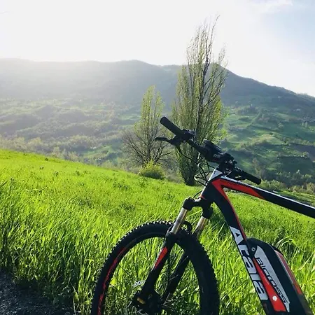 La Tana Dei Ricci Bed & Breakfast